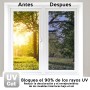Film protector solar y privacidad UV400 azulado para vidrio