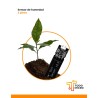 Sensor de humedad de suelo con conector gravity 3 pines
