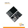 Chip diseñado para aplicaciones donde se requiera conectividad