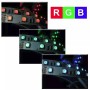 Tira de LEDs 5050 60 led por metro RGB