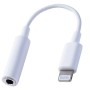 Conector Lightning a miniplug para audio iphone
