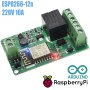 Modulo Esp8266 Esp-12e con rele 10A